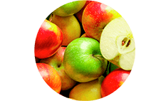 Ingredient 2
